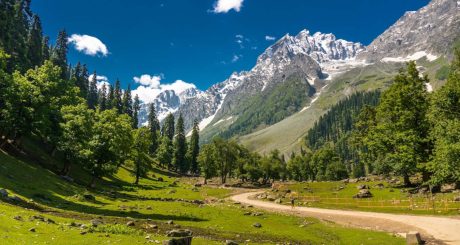 Kashmir Magnificent Tour