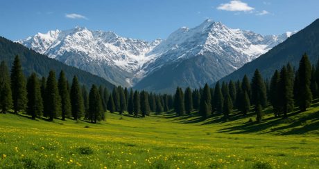 Mystic Meadows of Kashmir