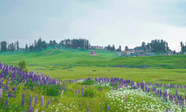 Top Places to Visit in Gulmarg: A Complete Travel Guide